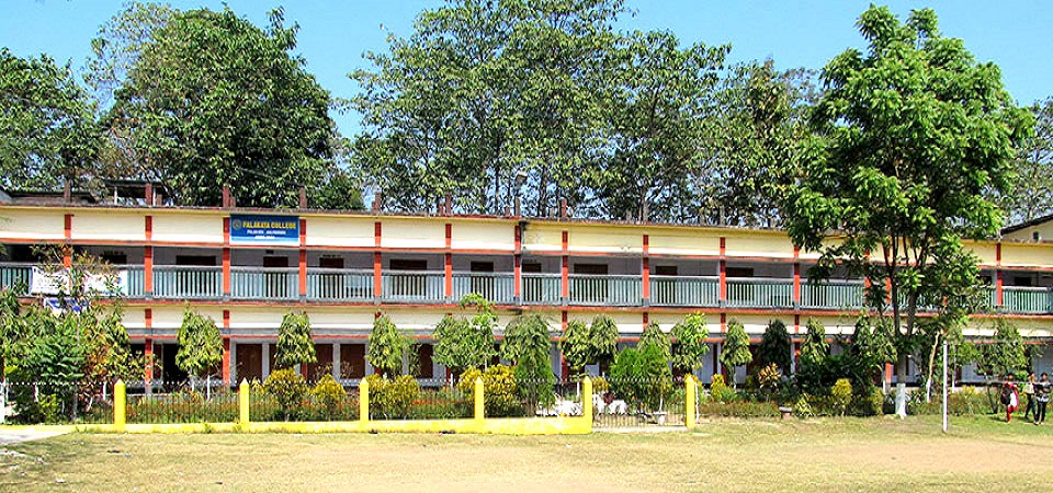 Falakata College