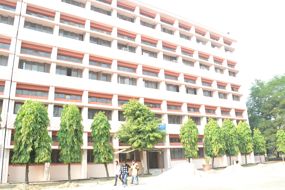 Meera Bai Institute of Technology