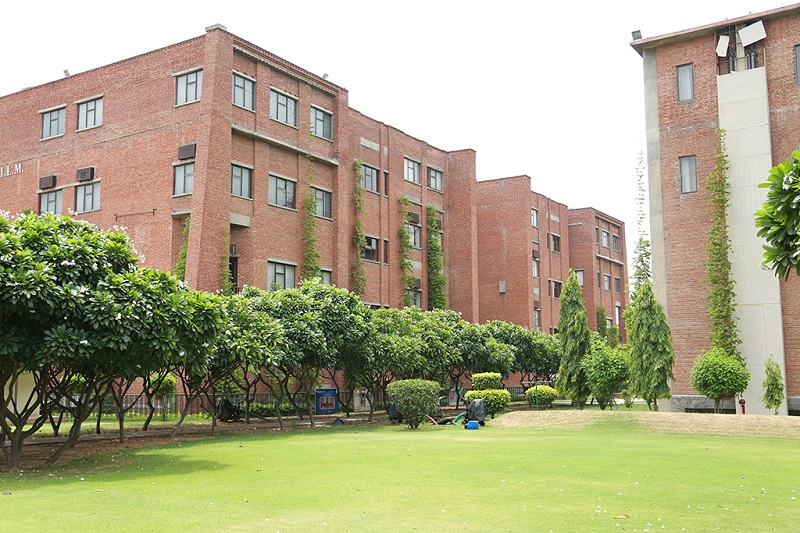 IILM University