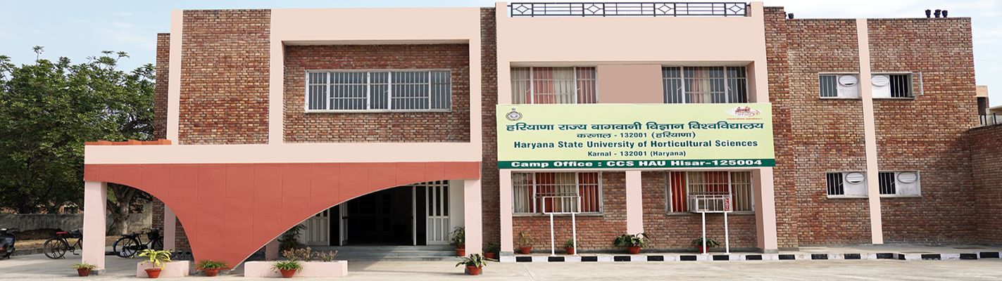 MHU Karnal Admission 2024: M.Sc, Ph.D, Fees, Dates, Eligibility, Application Form