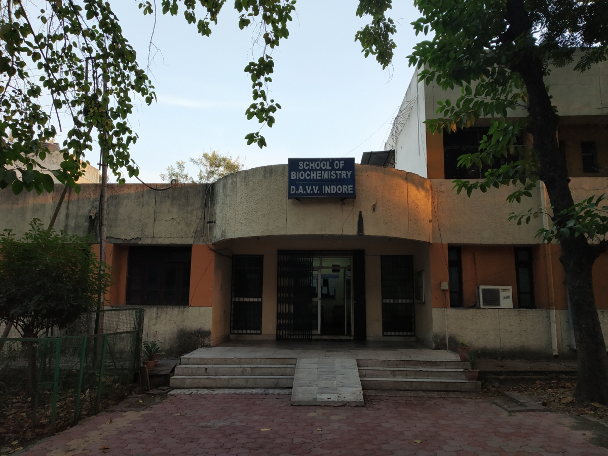 School Of Biochemistry