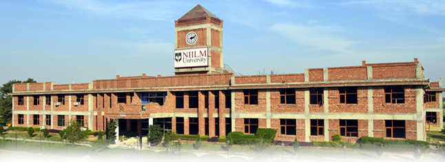 NIILM University