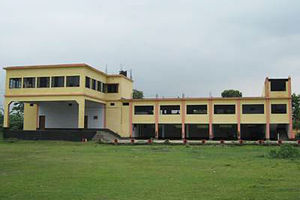 Kaliachak College