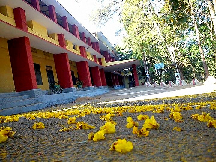 Sree Narayana College