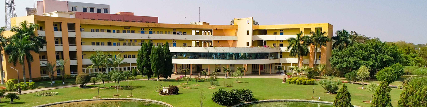 C. V. Raman Global University