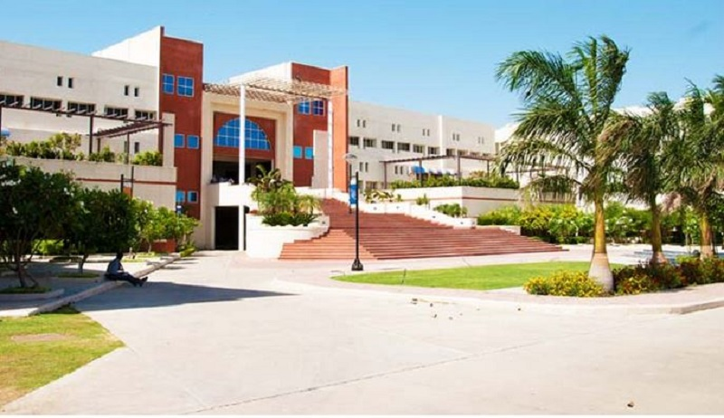 Indore Institute of Management and Research - [IIMR]