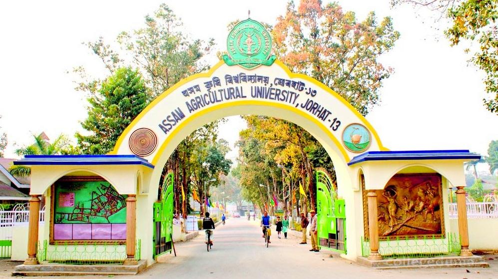 Assam Agricultural University - [AAU]