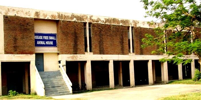 Lala Lajpat Rai University of Veterinary and Animal Sciences - [LRUVAS]