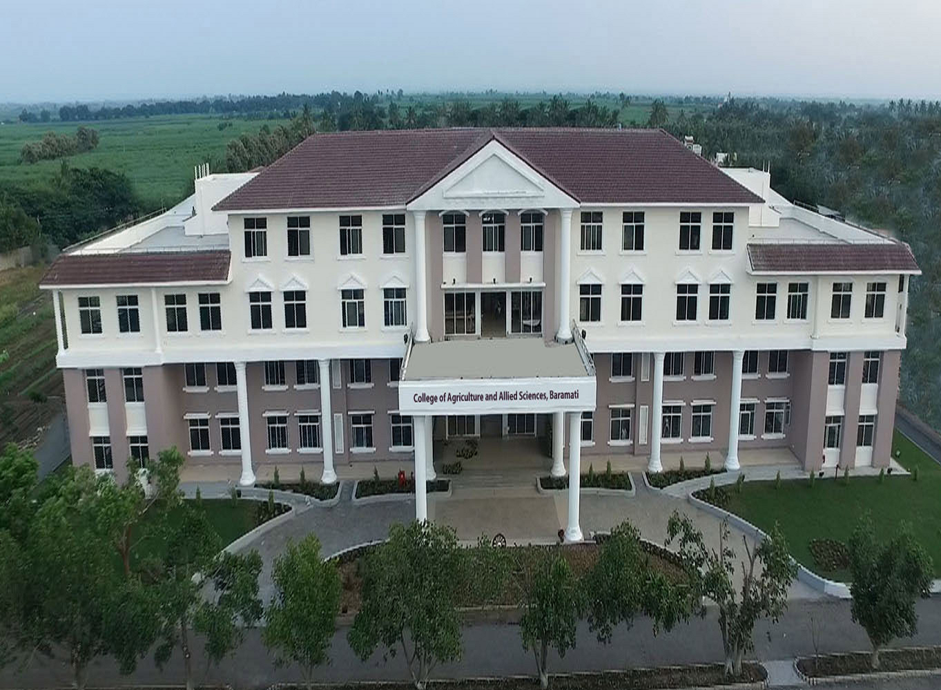 College of Agriculture and Allied Sciences