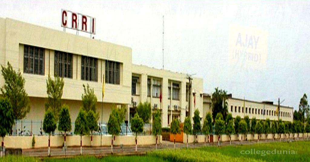 Central Rice Research Institute (CRRI) Cuttack Admission 2024: Ph.D, Fees, Eligibility, Registration