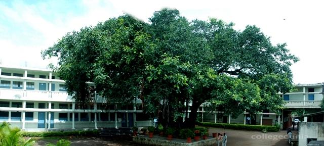 D. R. Mane Mahavidyalaya