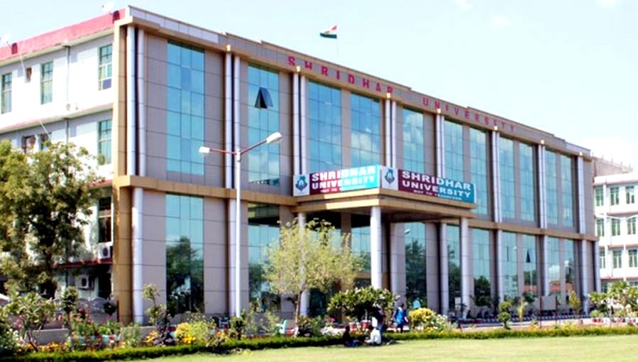 Shridhar University, School of Business Studies