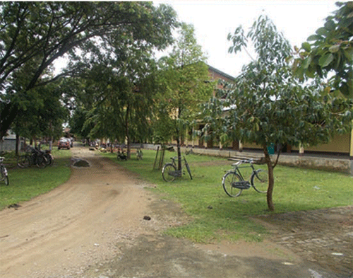 Bimala Prasad Chaliha College Kamrup BPC - Gallery photo 13