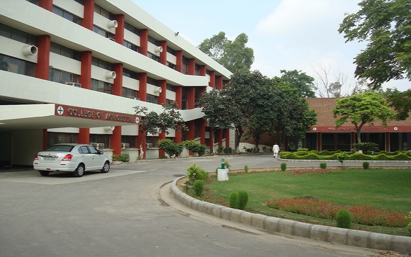 College of Agricultural Engineering and Technology Hisar CEAT Images photo 3