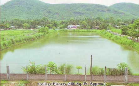 Dakshin Kamrup College Nalbari DKC - Gallery photo 8
