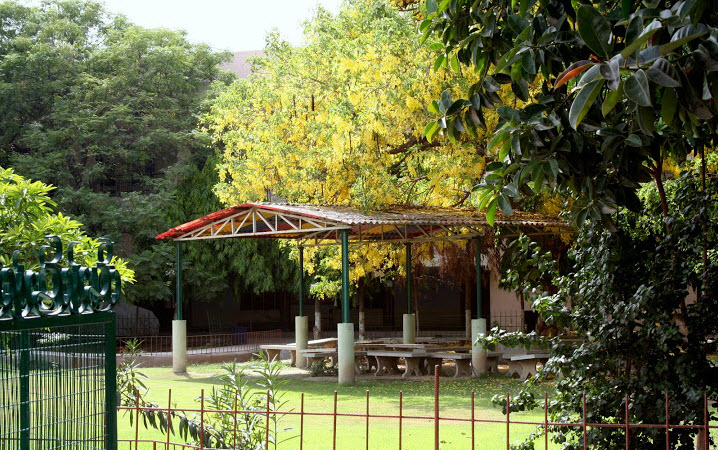 BBK DAV College for Women Amritsar Infrastructure photo 4