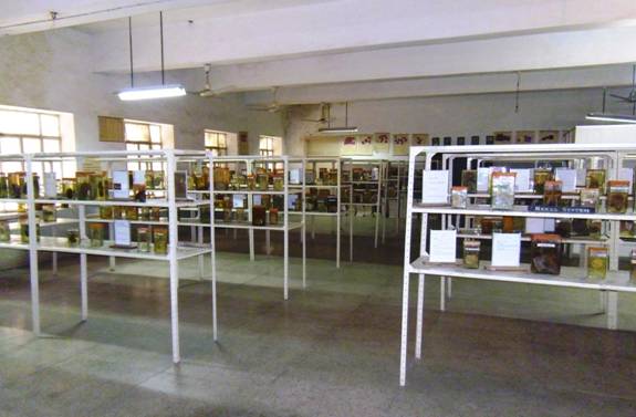 SNMC Jodhpur College Image photo 1