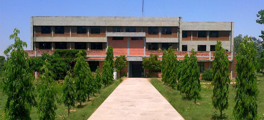 Guru Nanak Dev University Regional Campus Gurdaspur Campus photo 7