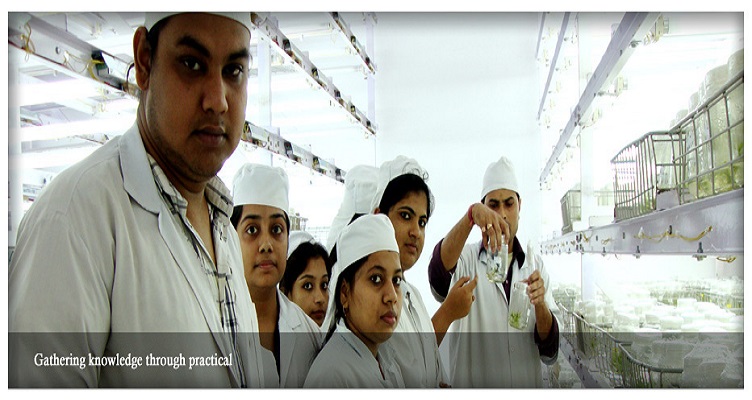 USTM campus pictures photo 4