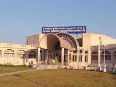 National Research Centre for Grapes Manjri Campus photo 2