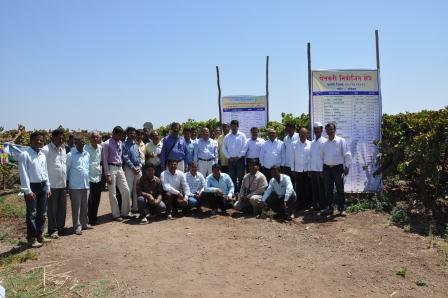 National Research Centre for Grapes Manjri Campus photo 3