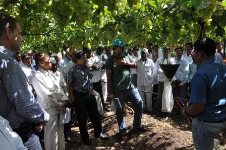 National Research Centre for Grapes Manjri Campus photo 4