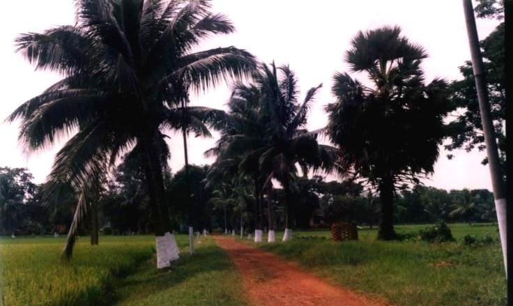 University of Burdwan Bardhaman Campus photo 5