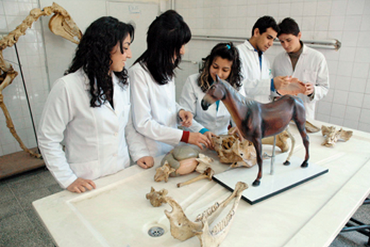 College of Veterinary Sciences Hisar Infrastructure photo 1