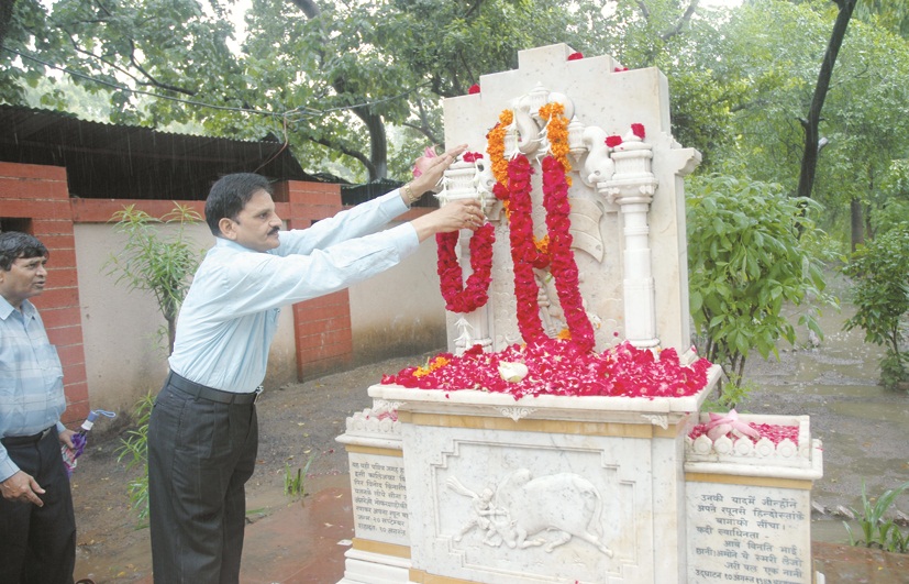 Gujarat Arts and Science College Ahmedabad Campus photo 2