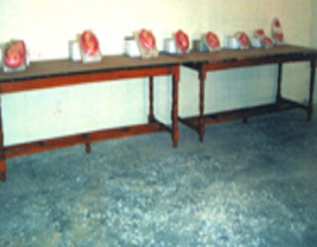 Mata Gaytri Devi Nursing School Bijnor Academic Building photo 6