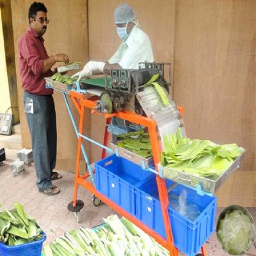 Central Institute of Agricultural Engineering Bhopal Campus photo 1