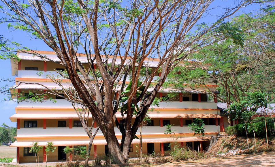 MES College Nedumkandam Idukki Campus photo 4