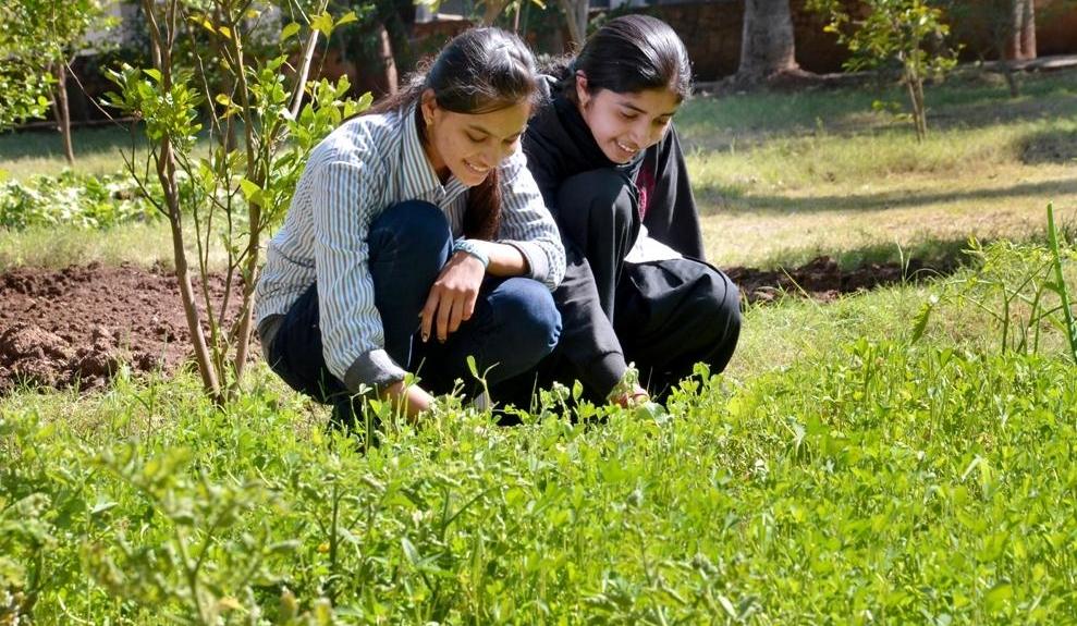 New Look Girls College Banswara Campus photo 4