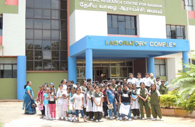 National Research Centre for Banana Tiruchirappalli Academic Building photo 7