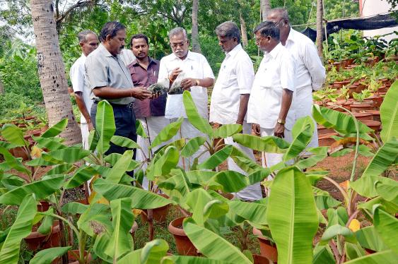 National Research Centre for Banana Tiruchirappalli Academic Building photo 9
