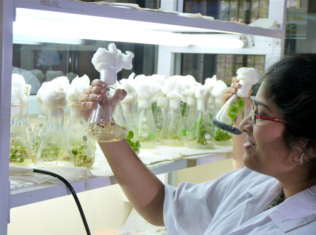 Institute of Bioinformatics and Biotechnology Pune Campus photo 12