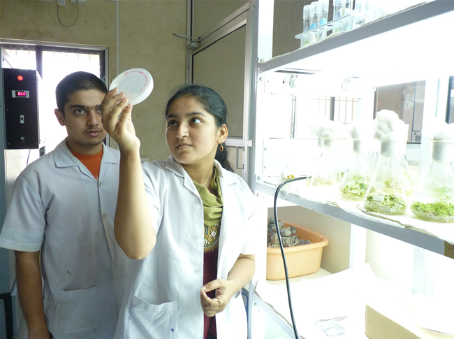 Institute of Bioinformatics and Biotechnology Pune Campus photo 13