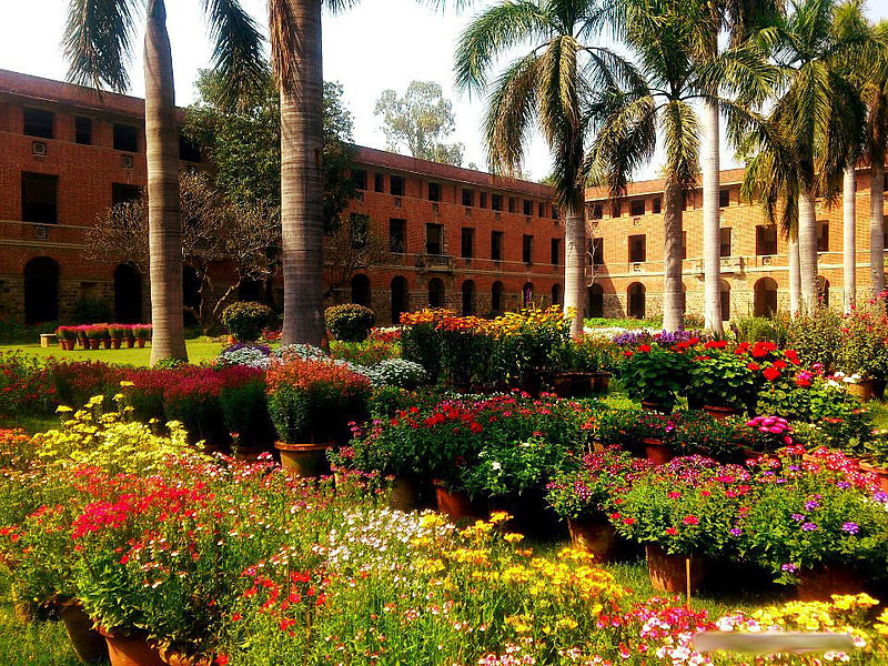 Miranda House Campus photo 6