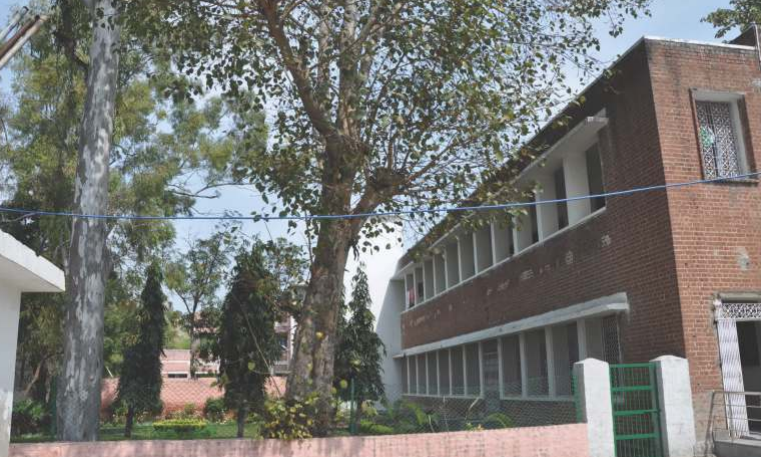 SRCC Hostel photo 2