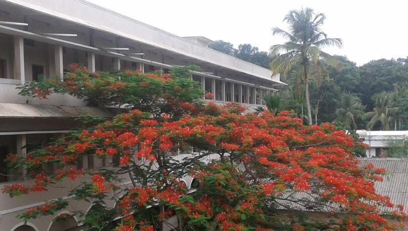 Ettumanoorappan College Ettumanoor Kottayam College campus photo 2