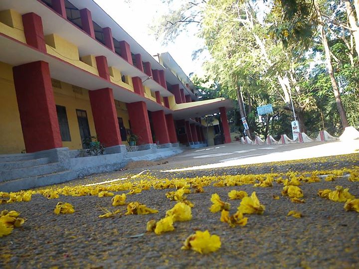 Sree Narayana College Alatur SNCA photo 6