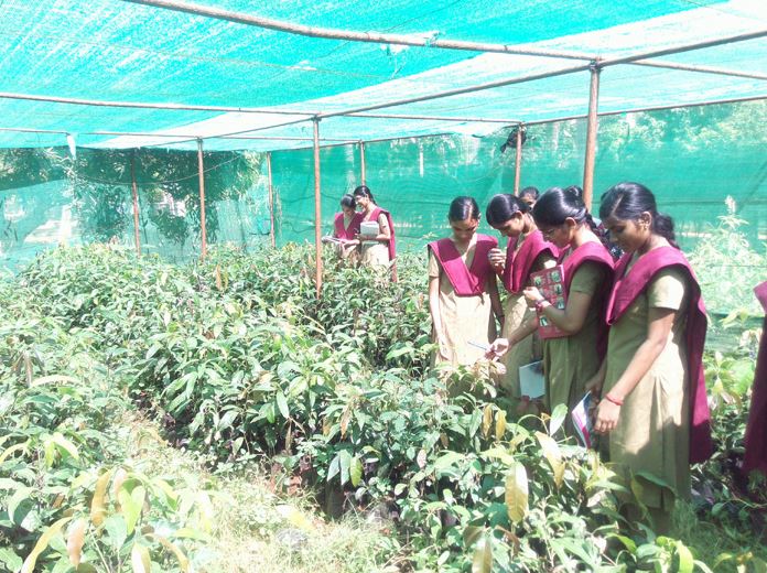 RVS Agriculture College Thanjavur Infrastructure photo 2