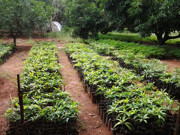 RVS Agriculture College Thanjavur Infrastructure photo 8