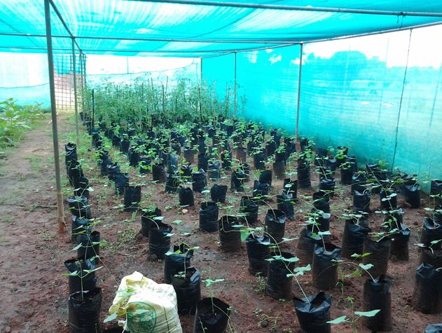 RVS Agriculture College Thanjavur Infrastructure photo 9