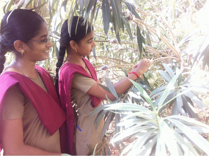 RVS Agriculture College Thanjavur Events photo 2
