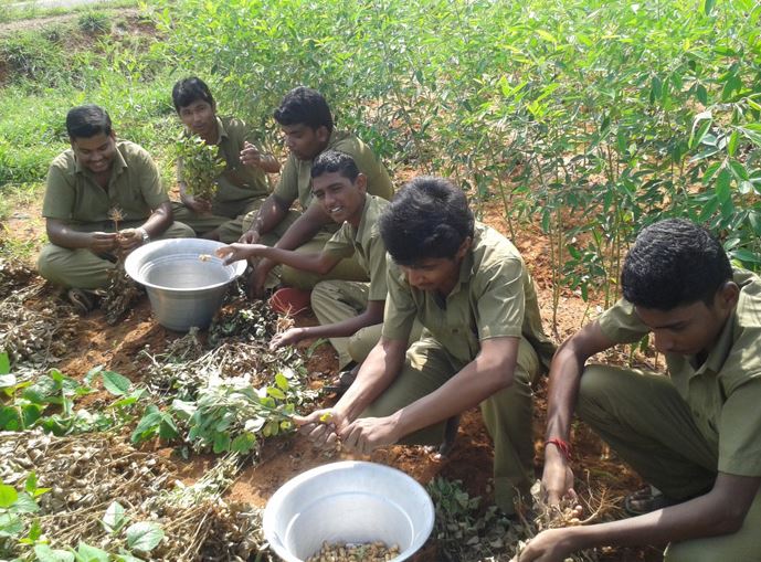 RVS Agriculture College Thanjavur Events photo 8