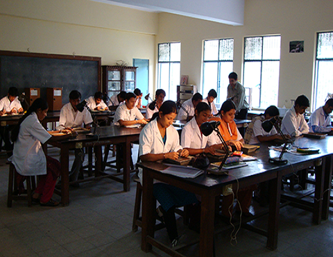 Government Science College Bangalore Campus with Facilities photo 17