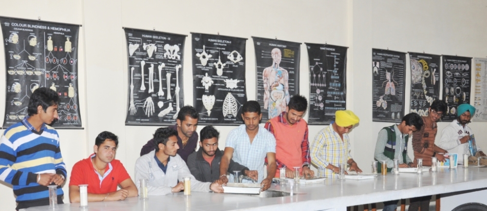 Suratgarh P.G. College Ganganagar Infrastructure photo 4