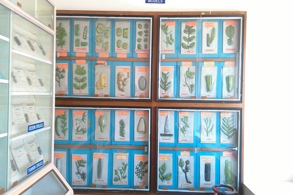 Bapatla College of Pharmacy Guntur Infrastructure photo 15