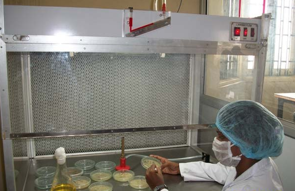 Shri Jain Shwetamber Professional Academy Indore Infrastructure photo 6
